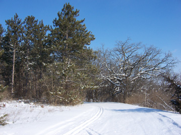 Nordic XC Cross Country Ski Trail Wisconsin